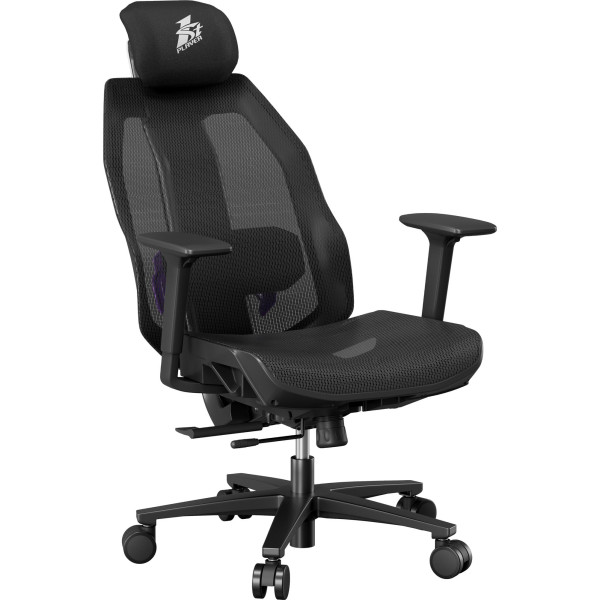 Фото - Крісло для геймерів 1stPlayer Ergo Aero (ERGO-AR-BK)