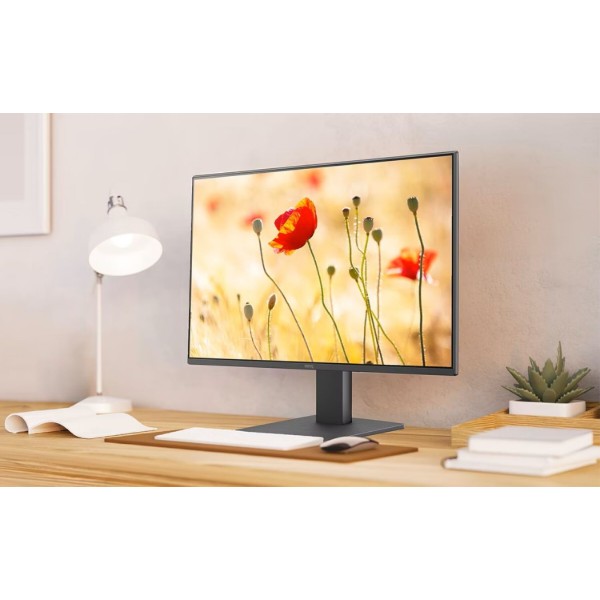 Фото - Монитор BenQ GW2491E (9H.LNHLJ.LBE)