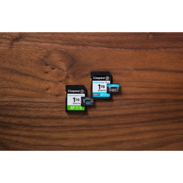 Фото - Карта пам'яті Kingston 256GB microSDXC Canvas Select Plus Gen3 (SDCS3/256GBSP)