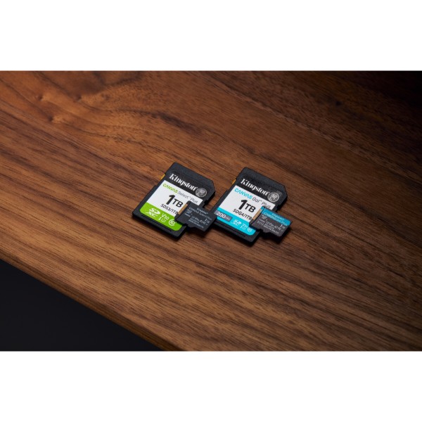 Фото - Карта пам'яті Kingston 256GB microSDXC Canvas Select Plus Gen3 (SDCS3/256GBSP)