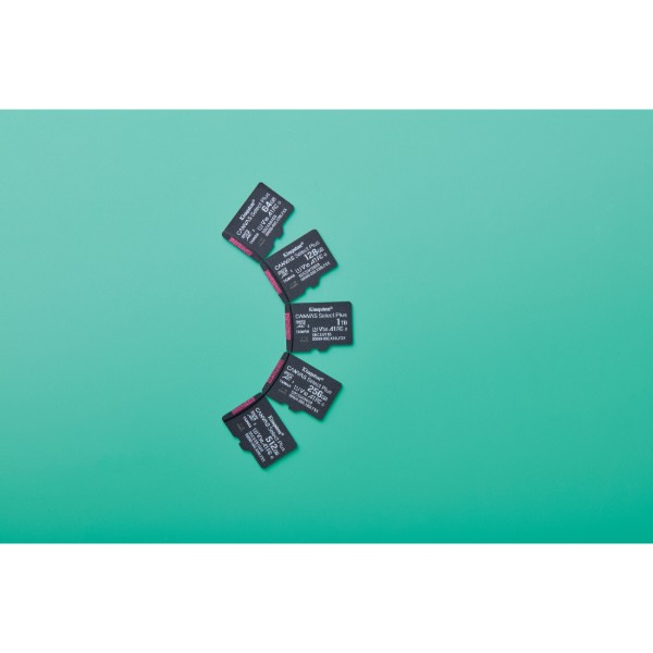 Фото - Карта пам'яті Kingston 256GB microSDXC Canvas Select Plus Gen3 (SDCS3/256GBSP)