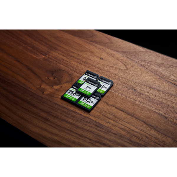 Фото - Карта пам'яті Kingston 256GB SDXC Canvas Select Plus Gen3 (SDS3/256GB)