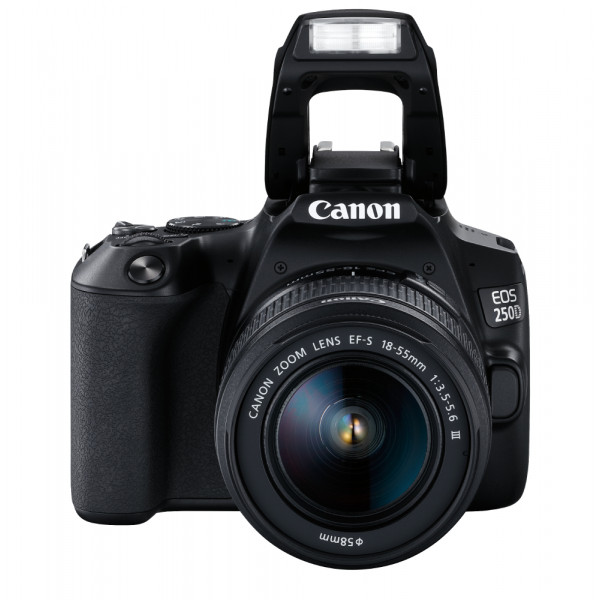 Фото - Фотокамера дзеркальна Canon EOS 250D kit 18-55 DC III Black (3454C009)