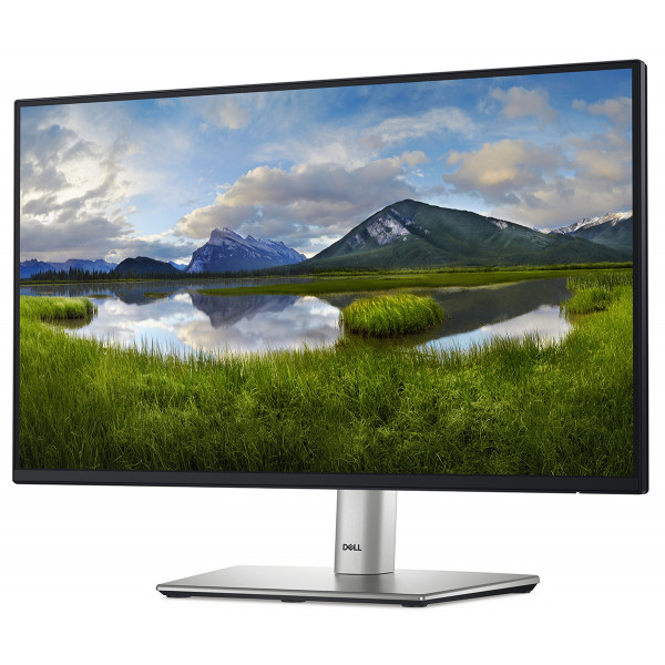 Фото - Монитор Dell P2225H (210-BMHD)