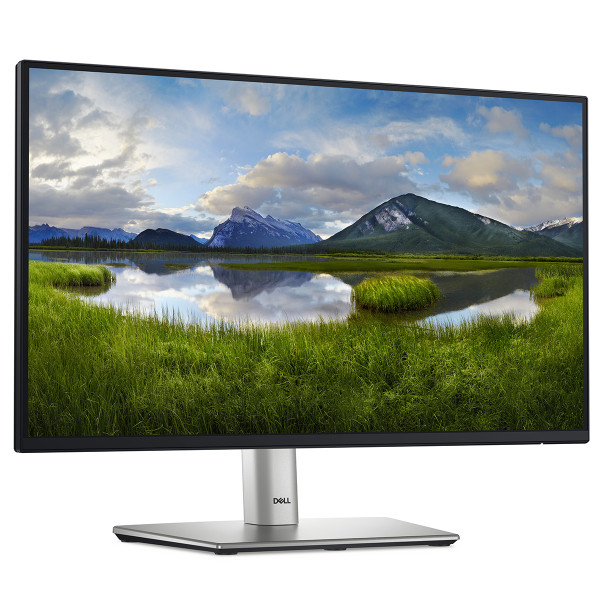 Фото - Монитор Dell P2225H (210-BMHD)