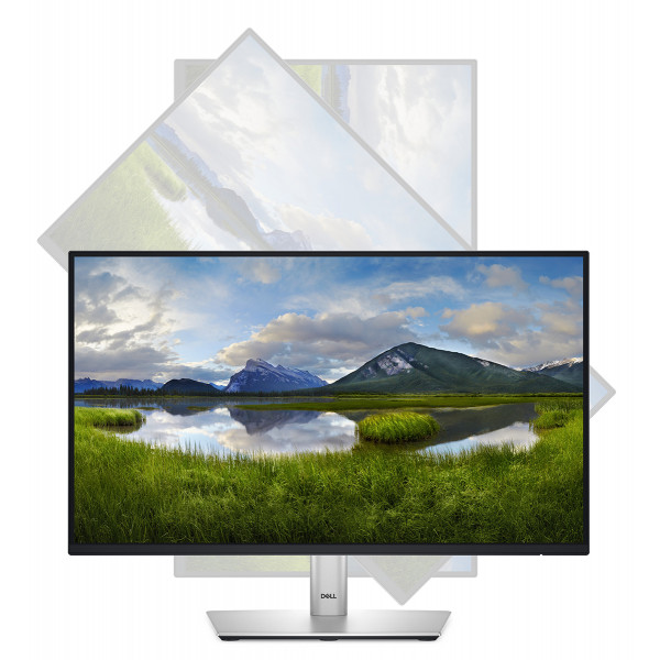 Фото - Монитор Dell P2225H (210-BMHD)