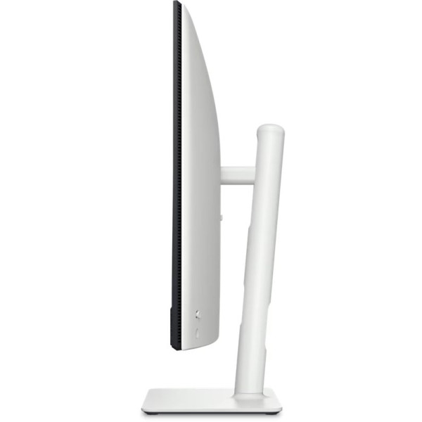 Фото - Монитор Dell S3225QC (210-BRVT)