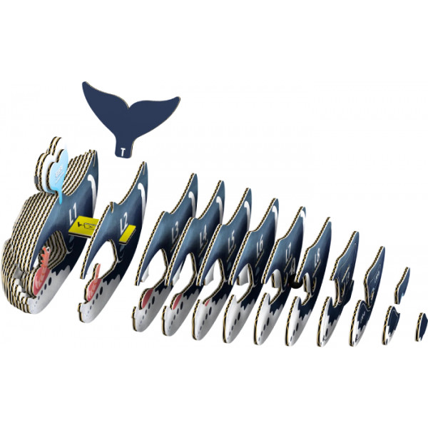 Фото - 3D пазли EUGY Зоопарк: Гренландський кит (XEG-084)