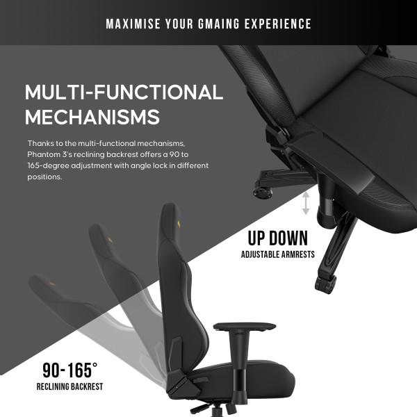 Фото - Крісло для геймерів Anda Seat Phantom 3 Size L Black & Gold (AD18Y-06-B-PVC)