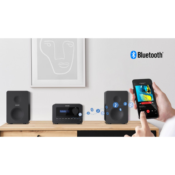 Фото - Микро-система Sharp Micro Sound System Black (XL-B514(BK))