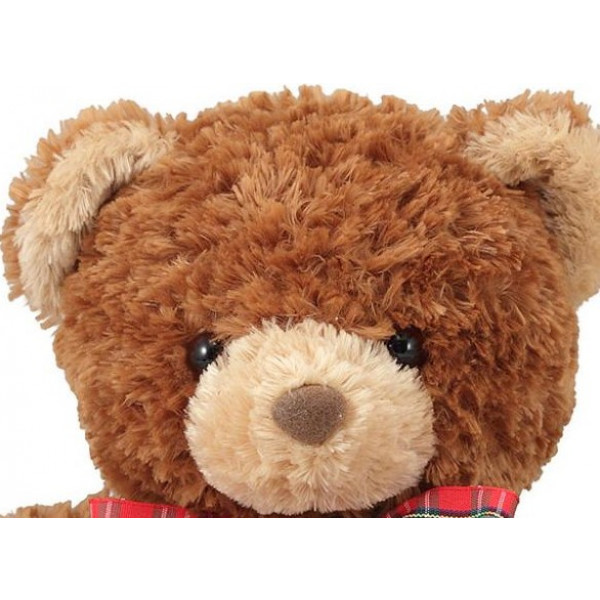 Фото - М'яка іграшка Melissa&Doug Маленький ведмедик Тарасик (MD7743)