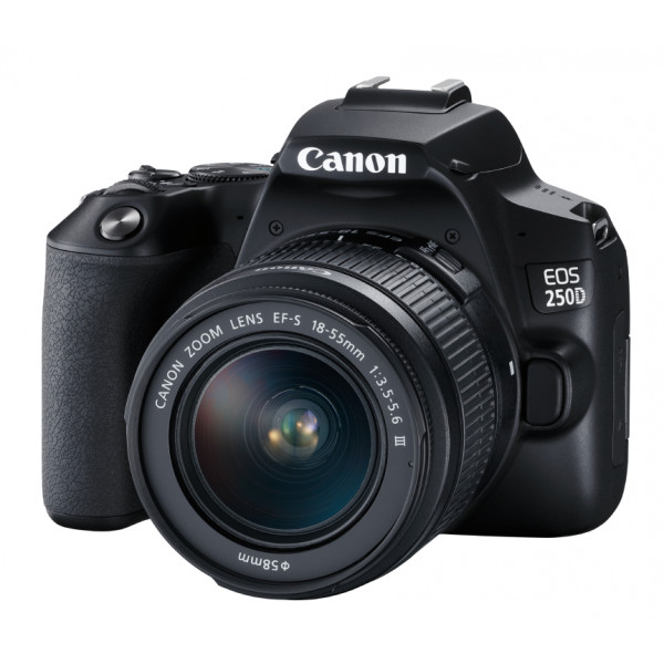 Фото - Фотокамера дзеркальна Canon EOS 250D kit 18-55 DC III Black (3454C009)