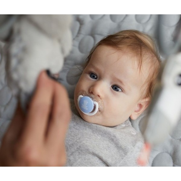 Фото - Симметричная пустышка Lovi MY LITTLE LOVE силиконовая 0-2 мес., 2 шт. (22/847boy)