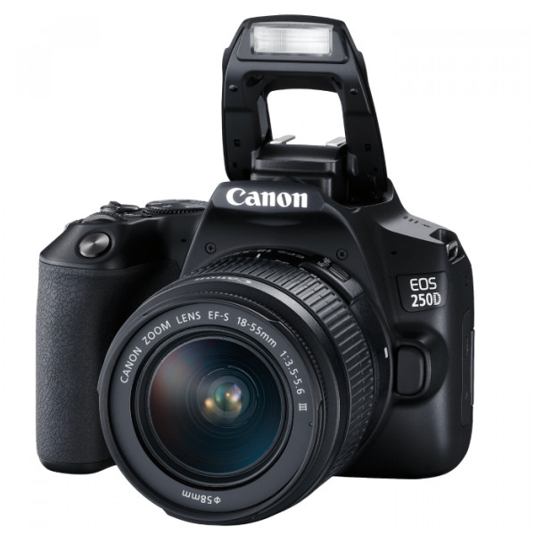 Фото - Фотокамера дзеркальна Canon EOS 250D kit 18-55 DC III Black (3454C009)