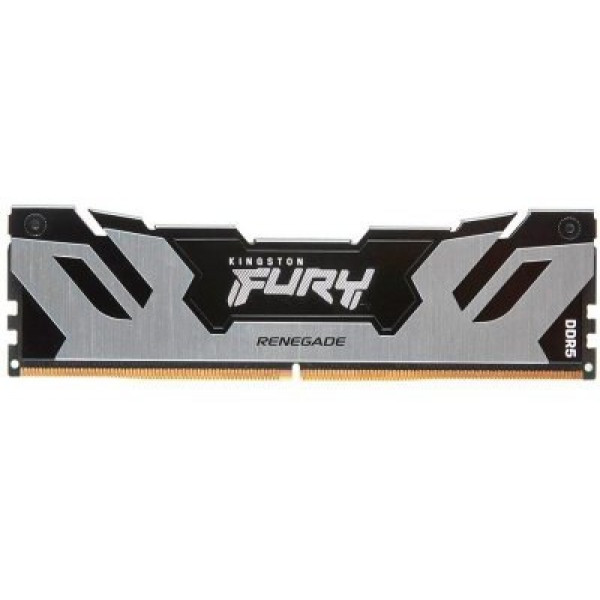 Фото - Память DDR Kingston Fury Renegade Silver DDR5-6000 48GB (2x24GB) XMP (KF560C32RS-48)