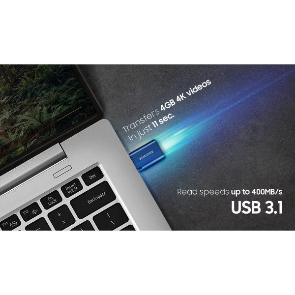 Фото - Флеш USB Samsung 128GB USB 3.2 Type-C Blue (MUF-128DA/APC)