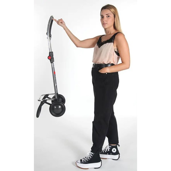 Фото - Сумка-візок Rolser I-Max MF 2L Klein (IMX304-1062)