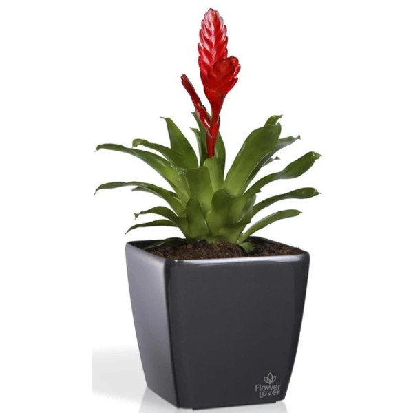 Фото - Вазон Plastkon Quadrato 34x34x32 Flower Lover антрацит (4114083057)