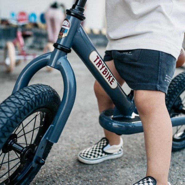 Фото - Біговел Trybike Gray (TBS-2-GRY+TBS-99-TK)