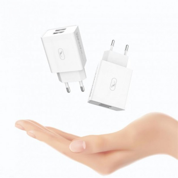Фото - Мережевий зарядний пристрій SkyDolphin SC30L (2USB, 2.1A) White (MZP-000112) + кабель Lightning