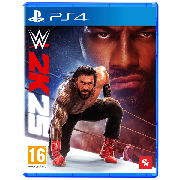 Фото - Ігровий диск PS4 WWE 2K25