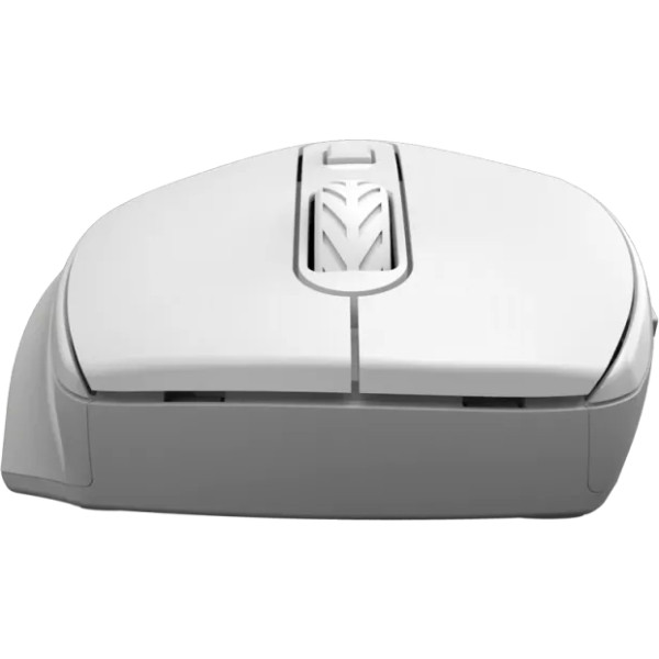 Фото - Миша бездротова Canyon OnClick 20 Wireless Ergonomic Silent White (CNE-CMSW20W)