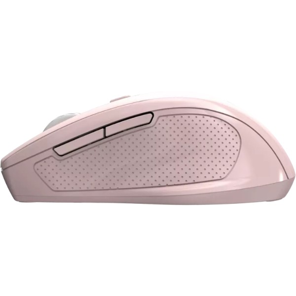 Фото - Мышь беспроводная Canyon OnClick 20 Wireless Ergonomic Silent Pink (CNE-CMSW20P)