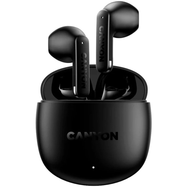 Фото - Наушники вкладыши беспроводные TWS Canyon OnGo 13 Black (CNS-TWS13B)