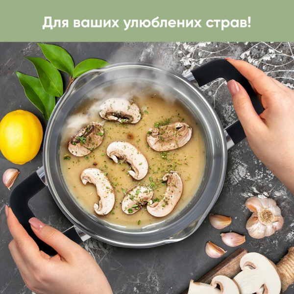 Фото - Кастрюля Krauff 26-247-012 Herzog 2,9 л