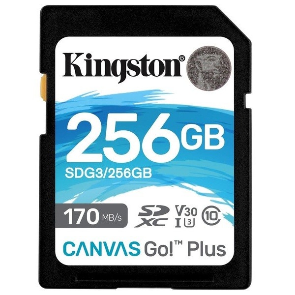 Фото - Карта пам'яті Kingston SDXC 256GB Canvas Go+ C10 UHS-I U3 (SDG3/256GB)