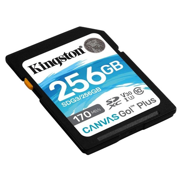 Фото - Карта пам'яті Kingston SDXC 256GB Canvas Go+ C10 UHS-I U3 (SDG3/256GB)