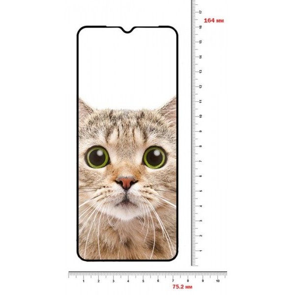 Фото - Захисне скло для смартфону BeCover for Vivo Y15s/Y15a Black (707250)