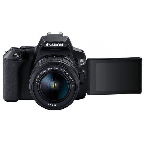 Фото - Фотокамера дзеркальна Canon EOS 250D kit 18-55 DC III Black (3454C009)