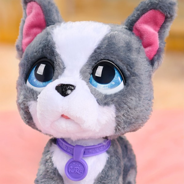 Фото - Интерактивная игрушка Furreal Walk-a-Lots – ФРАНЦУЗСКИЙ БУЛЬДОГ (28161)