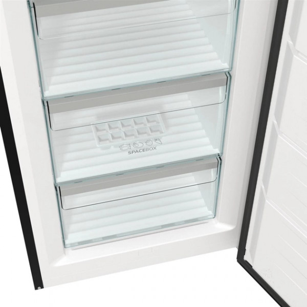 Фото - Морозильная камера Gorenje FN619EABK6