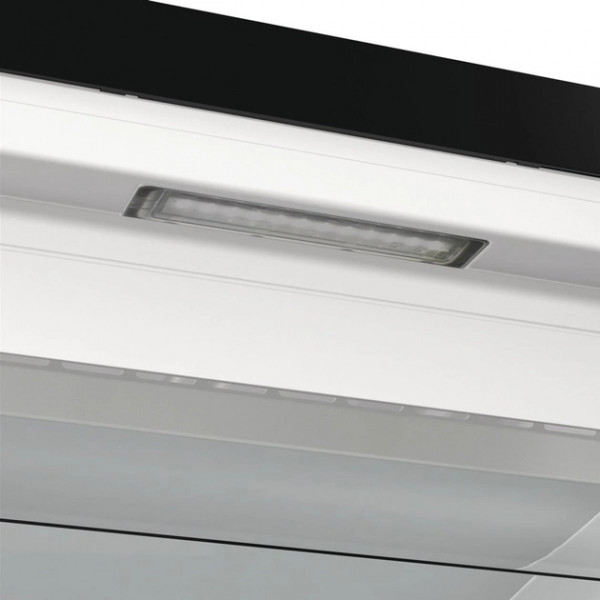 Фото - Морозильная камера Gorenje FN619EABK6