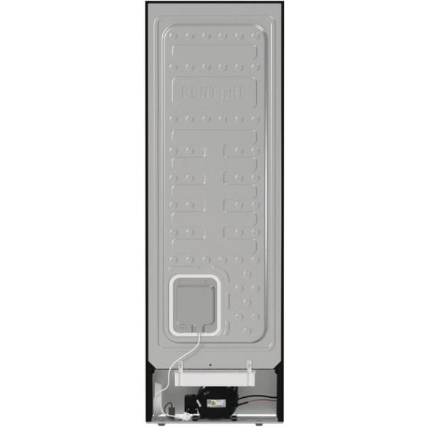 Фото - Морозильная камера Gorenje FN619EABK6