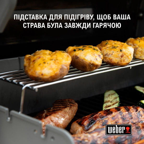 Фото - Гриль газовий Weber Spirit Classic E-330 GBS (1500160)