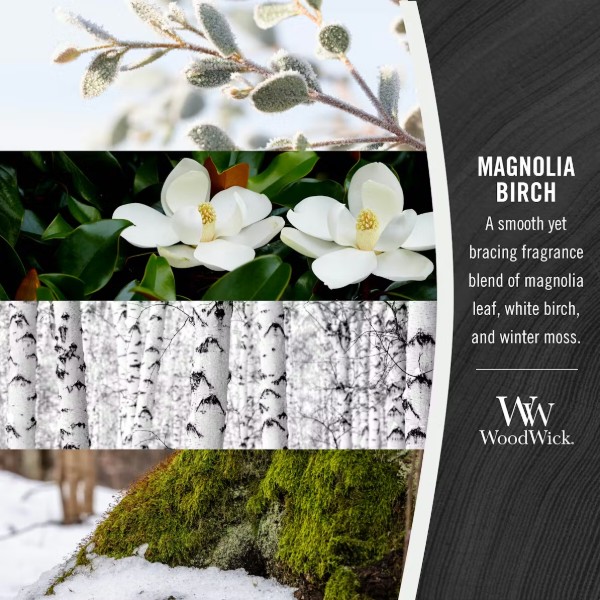 Фото - Свеча стекло Woodwick Large Magnolia Birch (Магнолия и Береза) 609г (1720904E)