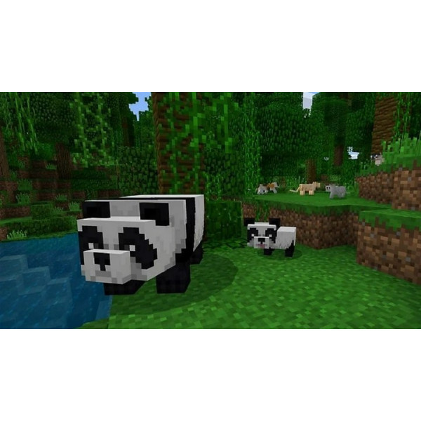 Фото - Игровой диск PS4 Minecraft. PlayStation 4 Edition