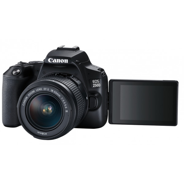 Фото - Фотокамера дзеркальна Canon EOS 250D kit 18-55 DC III Black (3454C009)