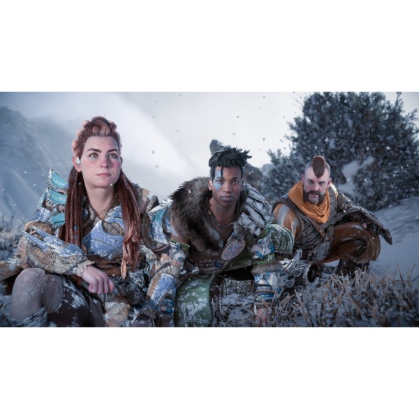 Фото - Ігровий диск PS5 Horizon Forbidden West Complete Edition