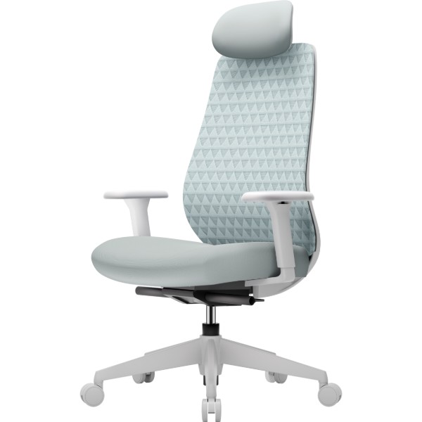 Фото - Крісло офісне OfficePro Omnis (OC640G)