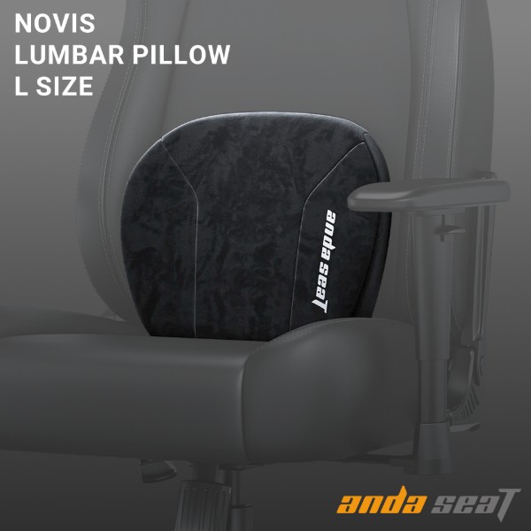 Фото - Подушка под спину Anda Seat Novis Lumbar Pillow Black Size L (AC-YZ-AD23L-B-F-J)