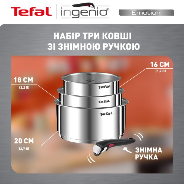 Фото - Набір посуду зі знімною ручкою Tefal L8964S55 Ingenio Emotion 4 пр