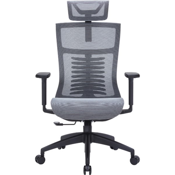 Фото - Крісло офісне OfficePro Balance (OC620-B-DG-DG) Black/Dark Gray