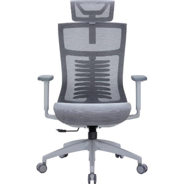 Фото - Крісло офісне OfficePro Balance (OC620-G-DG-DG) Gray/Dark Gray