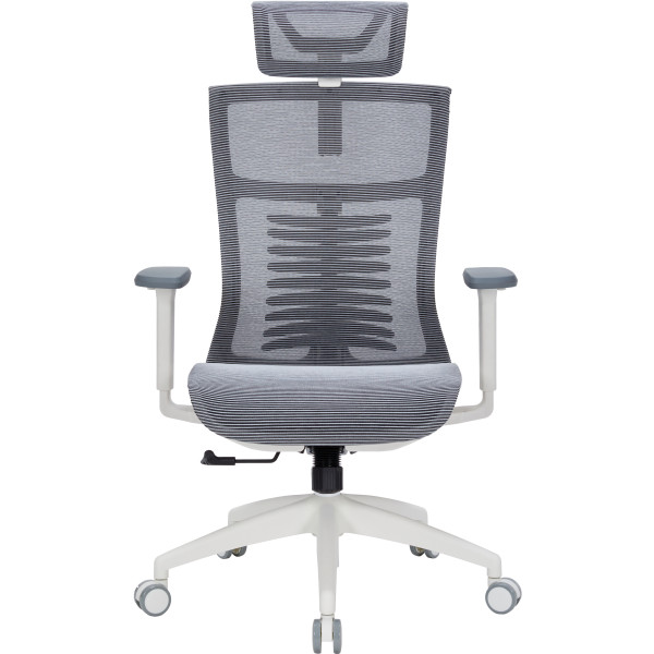 Фото - Крісло офісне OfficePro Balance (OC620-W-DG-DG) White/Dark Gray