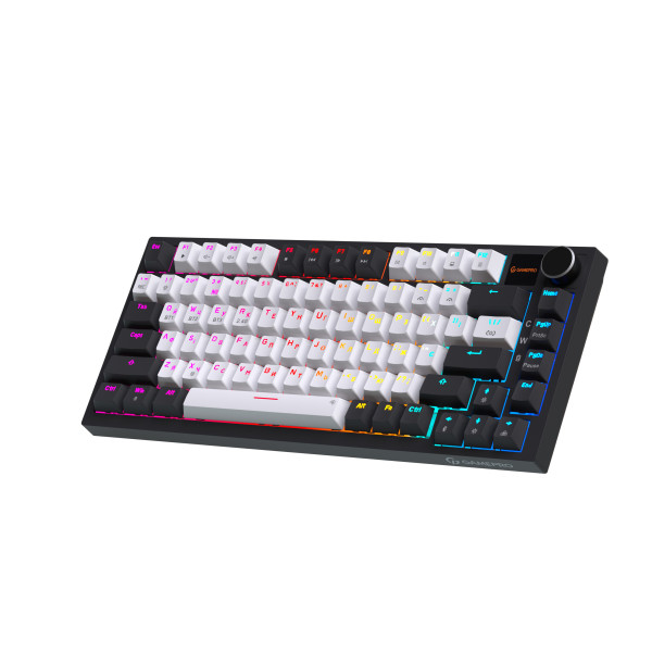 Фото - Клавіатура бездротова ігрова GamePro Asgard Valhalla Pro 75% Wireless/Bluetooth/USB White (MK160W-D-Pro)