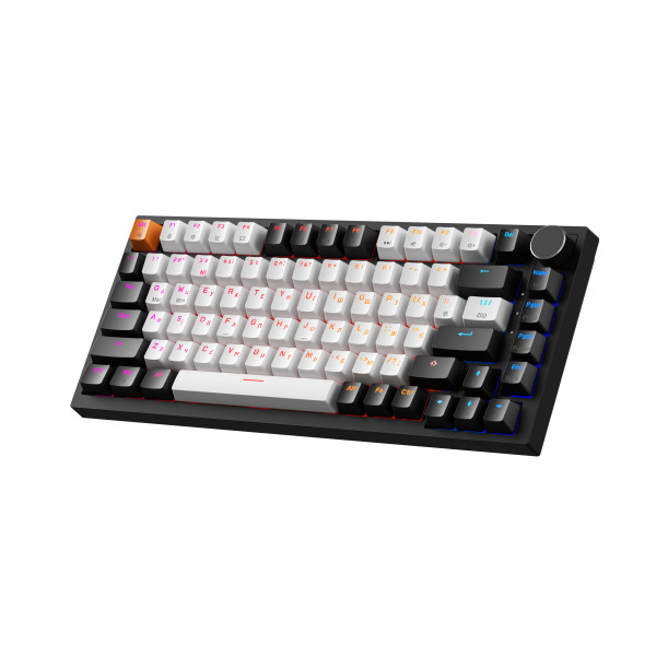 Фото - Клавіатура дротова ігрова GamePro Asgard Valhalla Max Magnetic Switches USB Black (MK160B MAX)